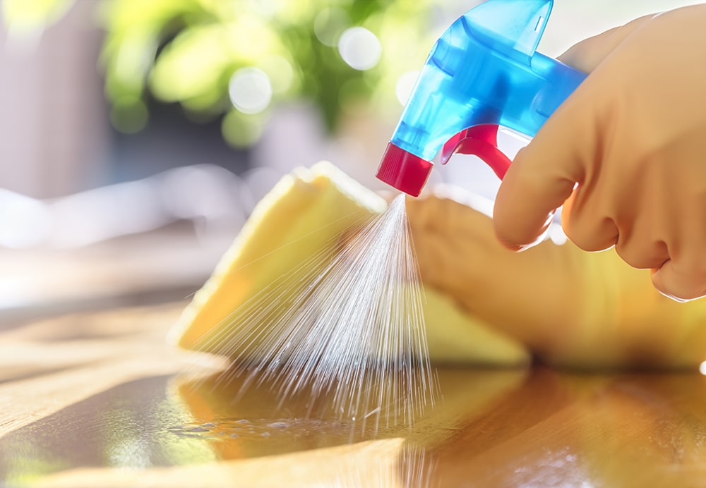 Cleaning Measures That Keep Everything Spotless